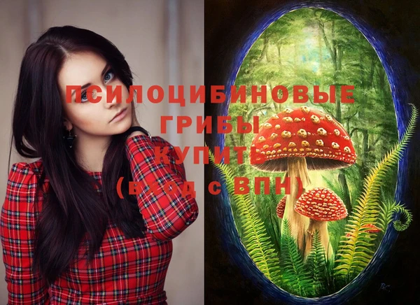синтетический гашиш Балахна