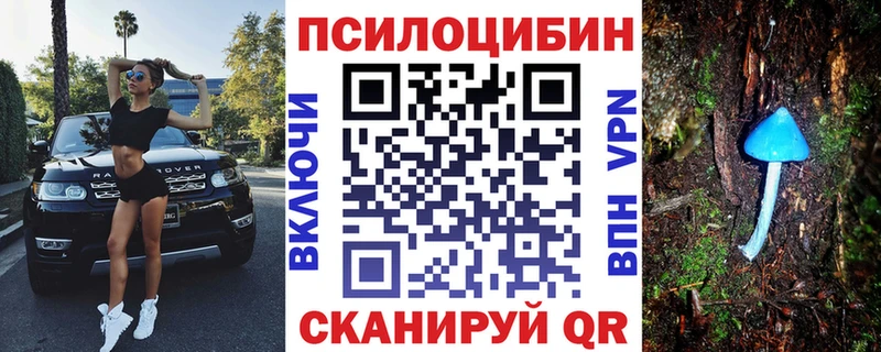 Псилоцибиновые грибы Magic Shrooms  где можно купить наркотик  гидра ссылки  Красновишерск 